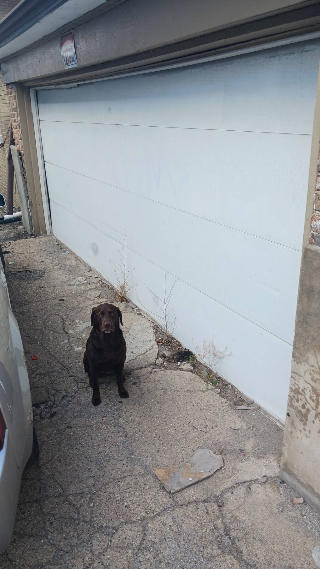 Recently job photo. Before 
