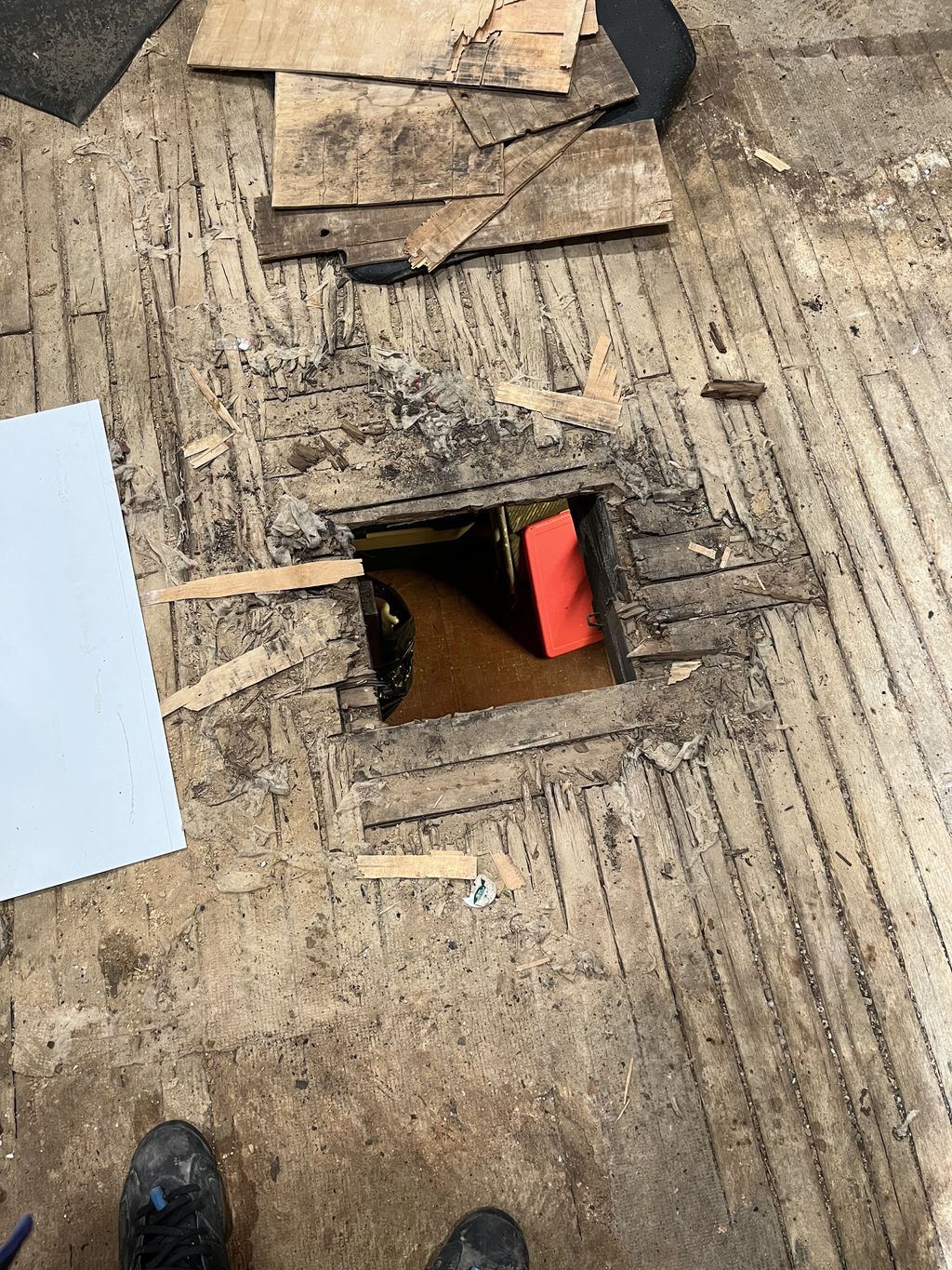 Floor Installation or Replacement