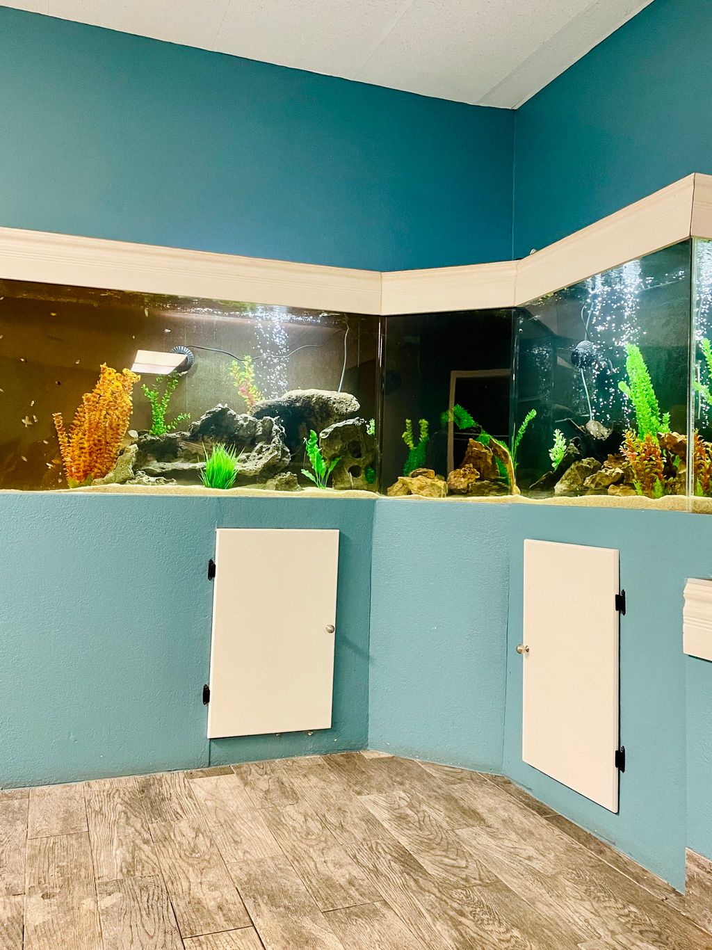 Aquarium Services