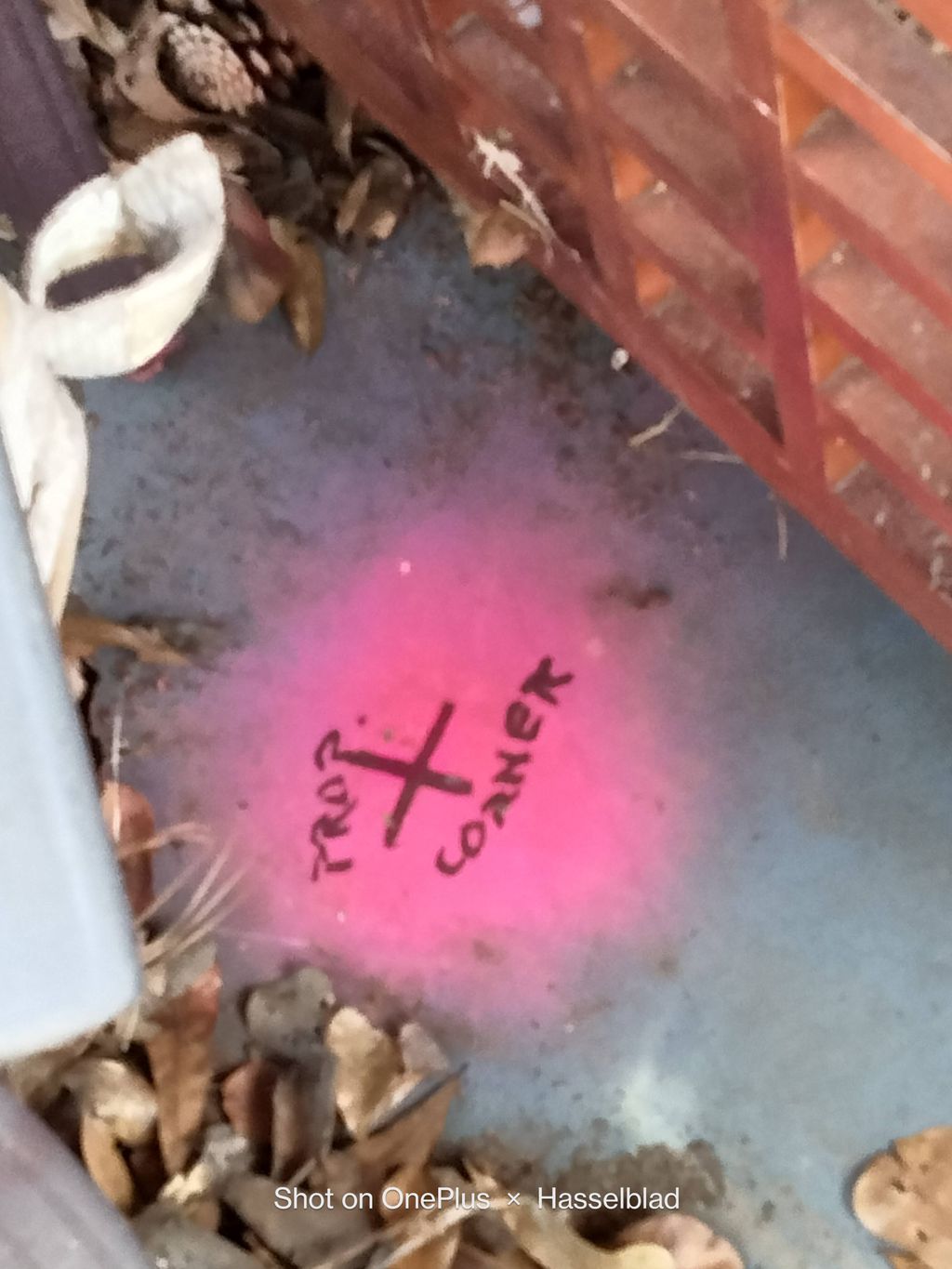 conc slab is on property corner of two parcels Bon