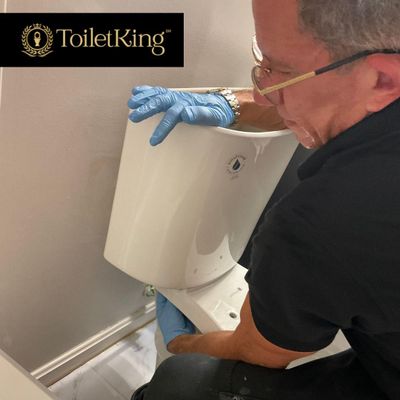 Avatar for ToiletKing