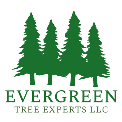 Avatar for Evergreen Tree Experts