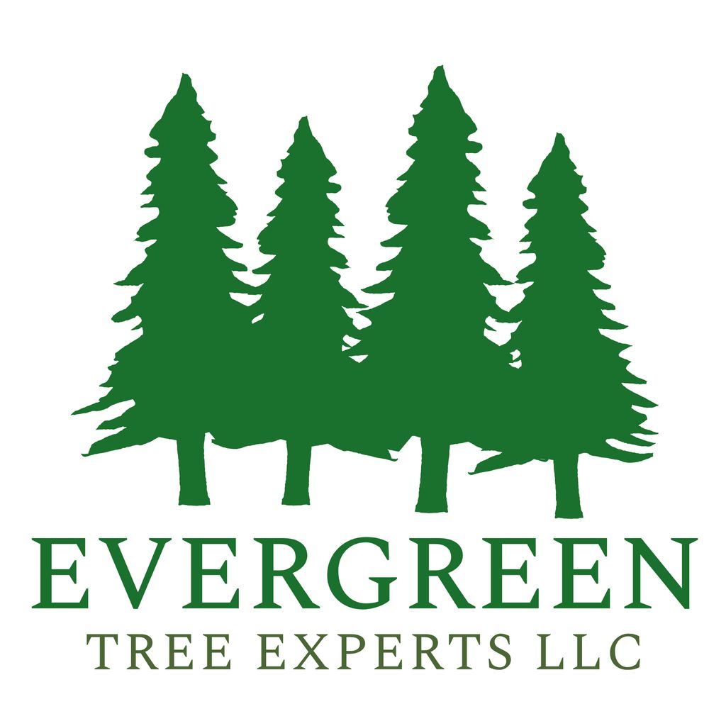 Evergreen Tree Experts