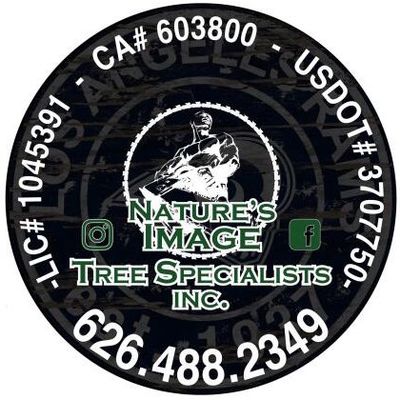 Avatar for Natures Image Trees