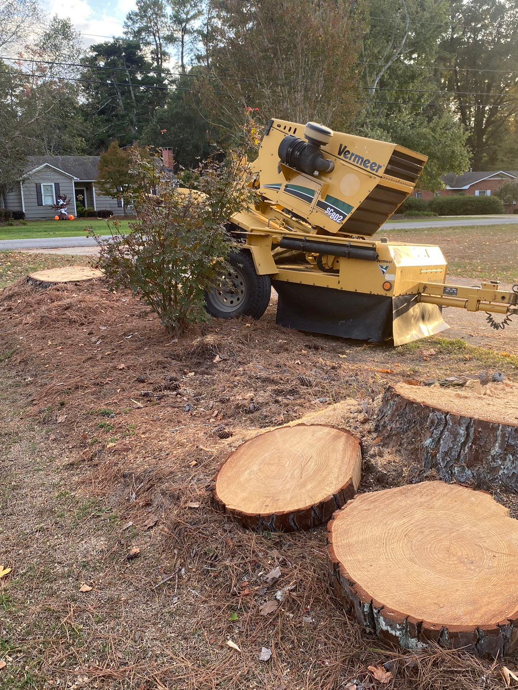 Stump doctor makes house calls