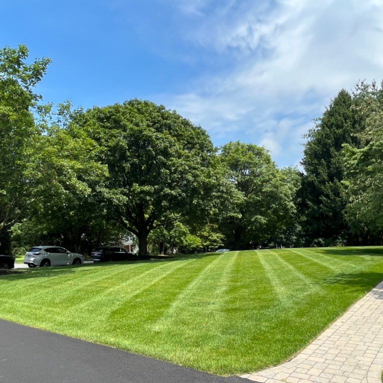 Merlin Landscaping