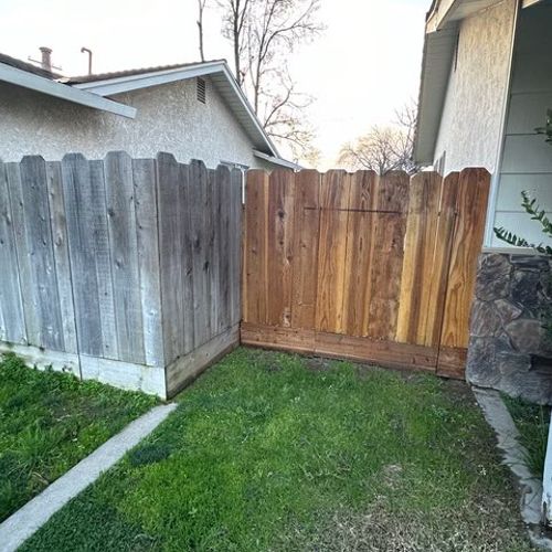 Neighbors fence on the left, and the results of ou