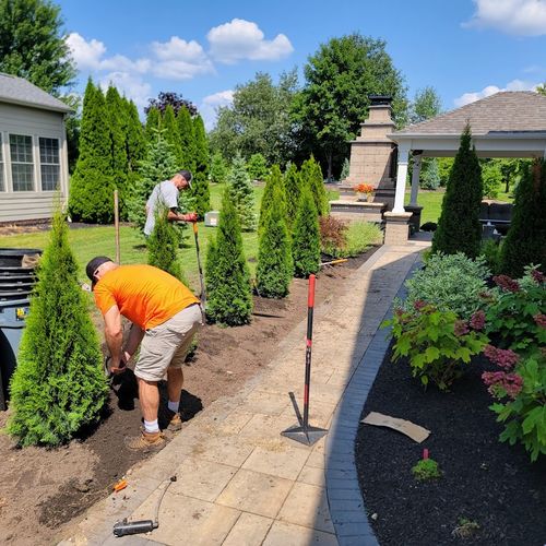 Creating a new mulch bed and planting 5 arborvitae