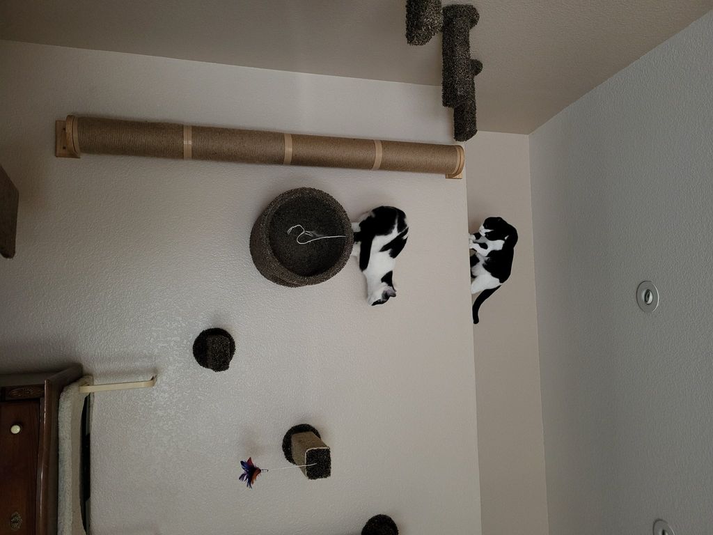 Customer photos