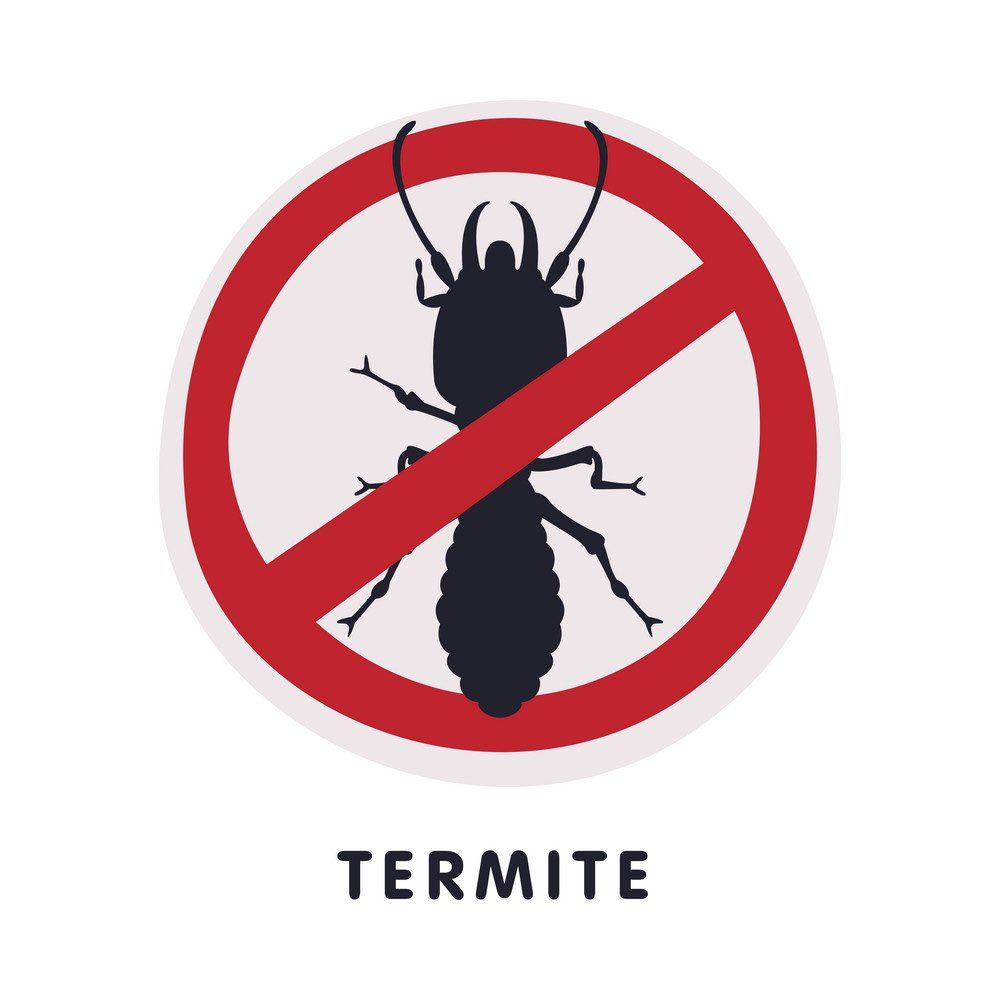 Stratton Termite & Roofing Solutions