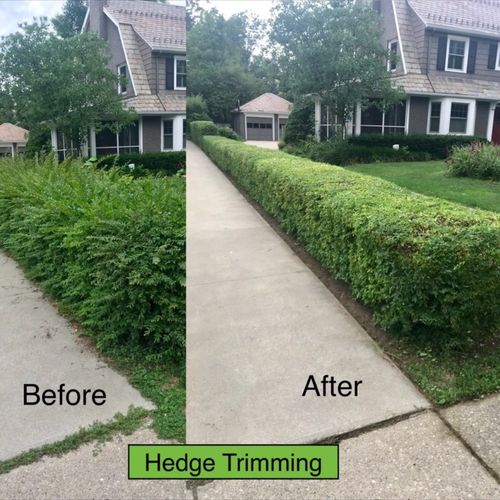 Trimming Services 