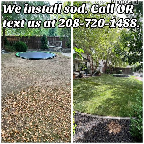 New Sod Installation (Free Quotes)