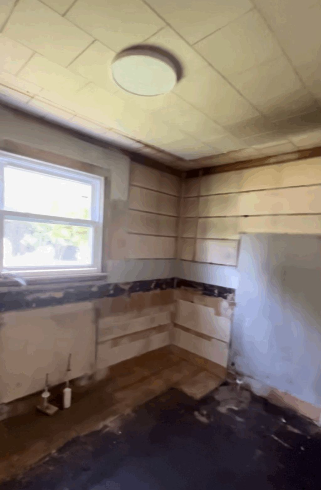 Kitchen Reno (Before)