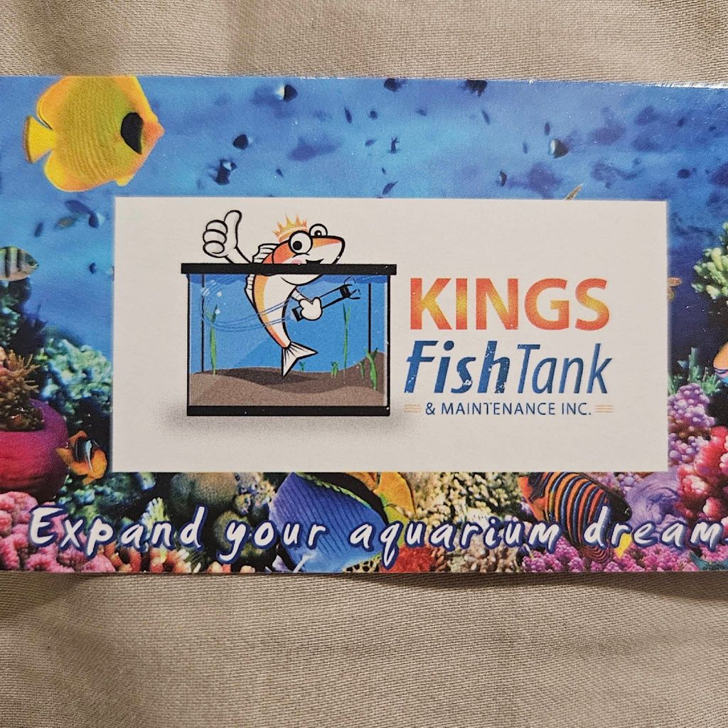 Kings Fish Tank and Maintenance