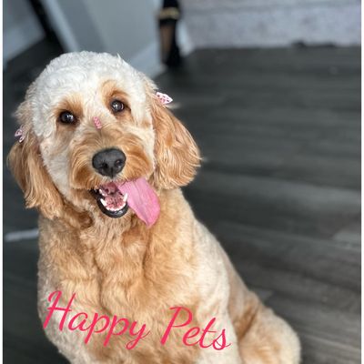 Avatar for Happy Pets