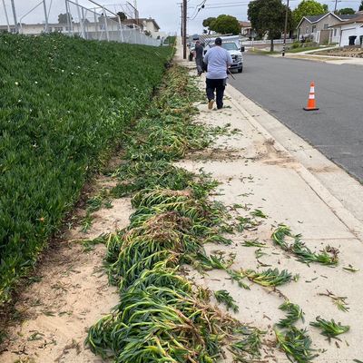 Avatar for Yard Worx