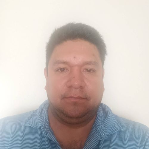 Salaslandscaping Profile Picture