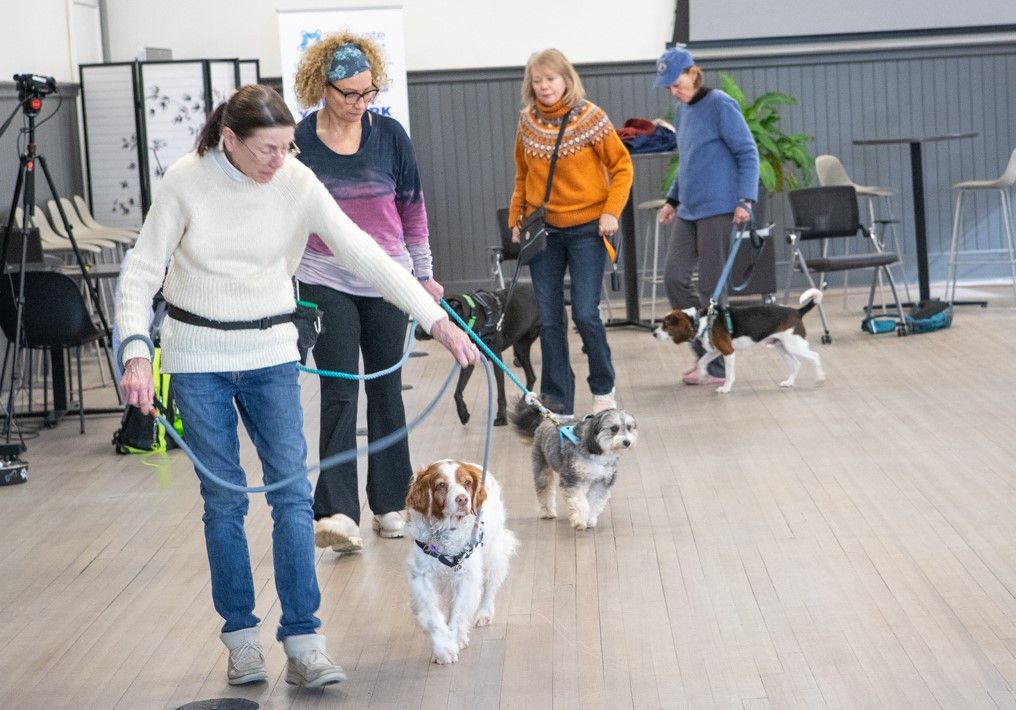 Urban Canine Good Citizen Class