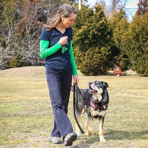 Loose Leash Walking