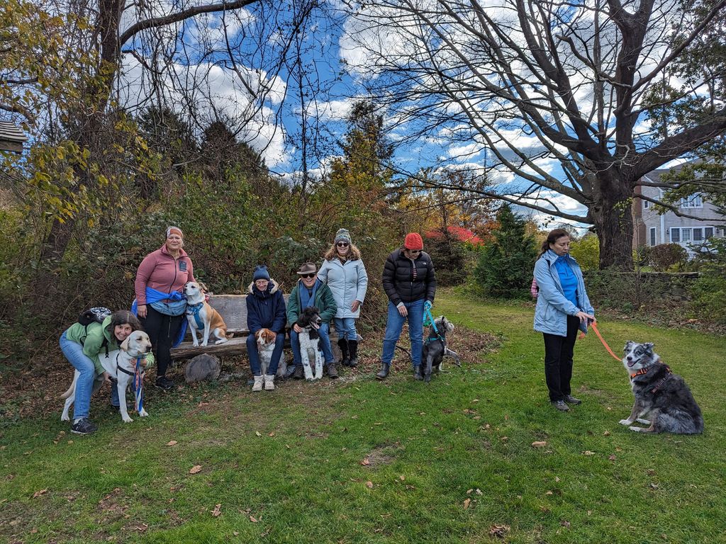 Weekly Group Walking Club