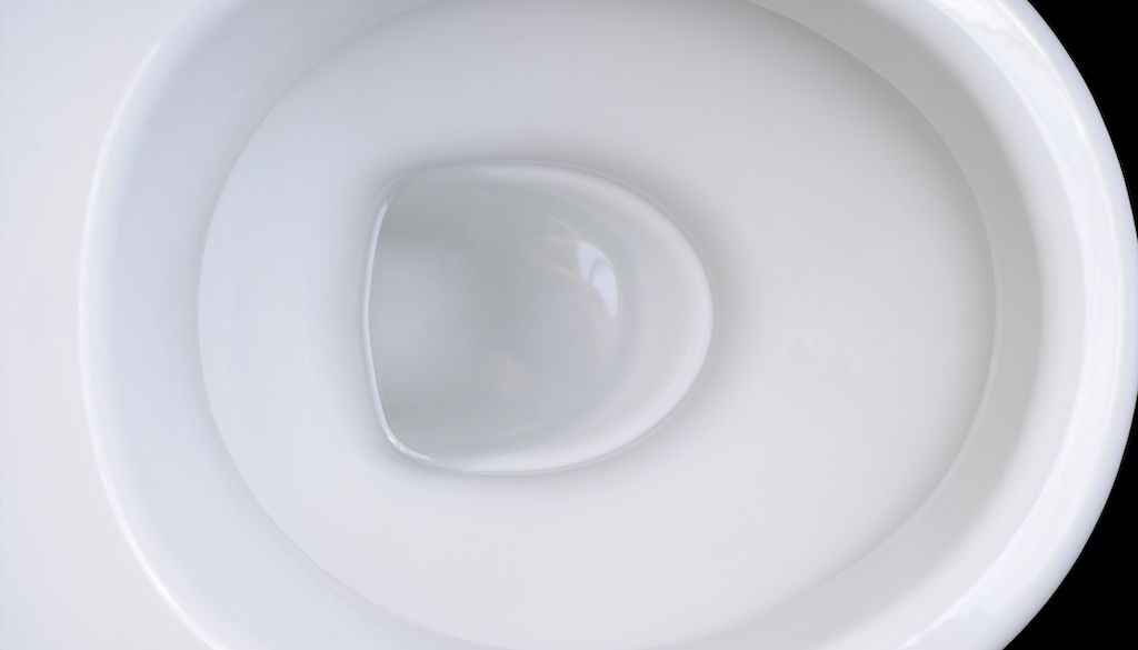 inside toilet bowl