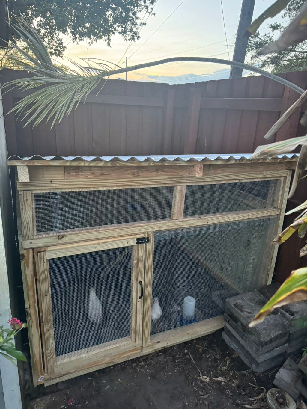 Customer photos