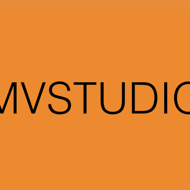 Avatar for MV Studio LLC