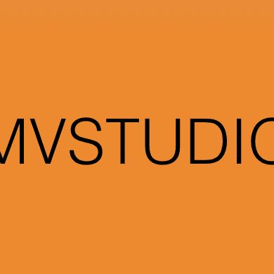 MV Studio LLC