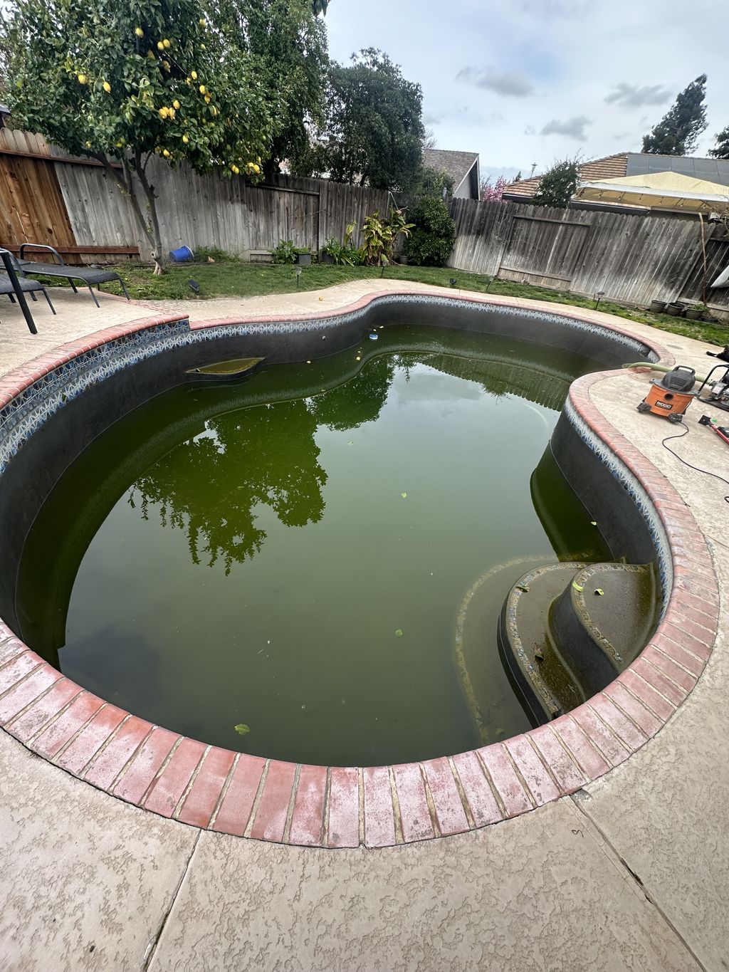 Swimming Pool Cleaning, Maintenance, and Inspection