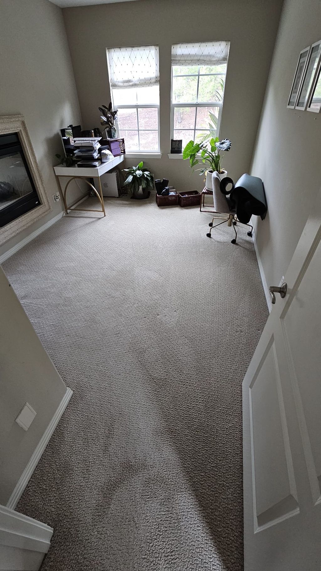 Carpet Cleaning