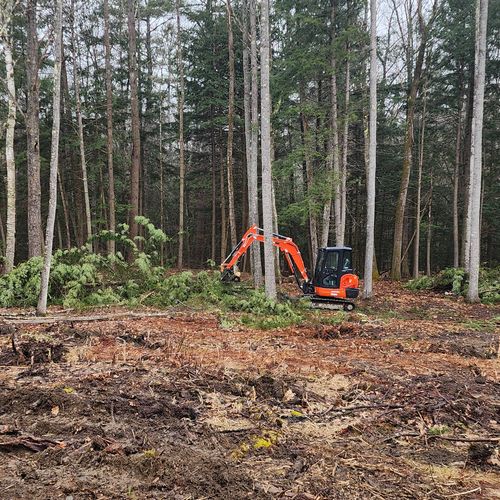 stump removal and select harvesting timber(ongoing