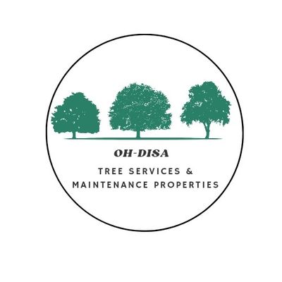 Avatar for OH-DISA Tree Service And Renoval