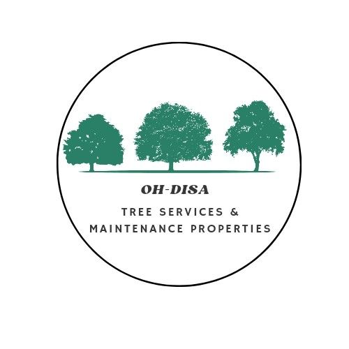 OH-DISA Tree Service And Renoval