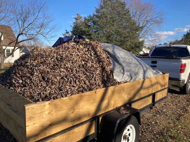 Leaf removal