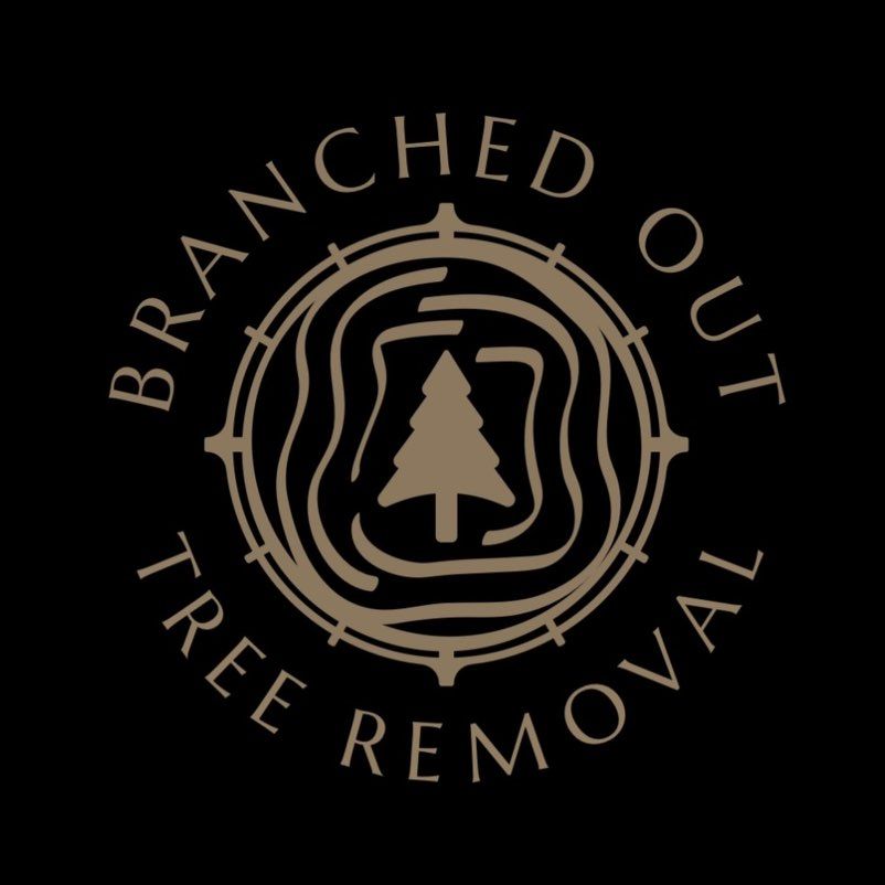 Branched Out LLC