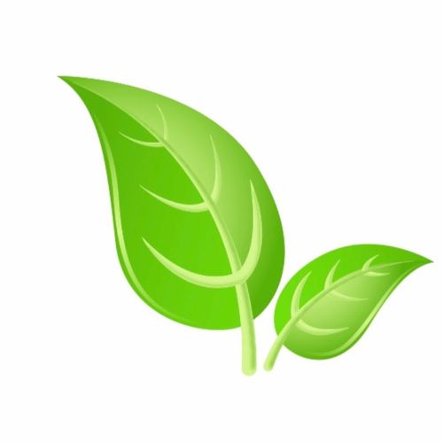 Eco-Dry Carpet & Upholstery Care