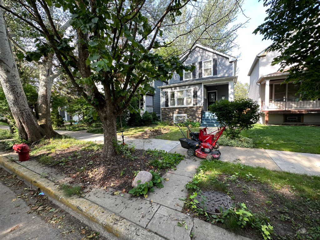 Before Sod and Mulch