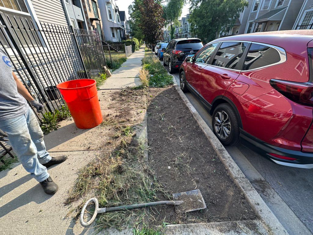 Before Planting and Sod Installation 