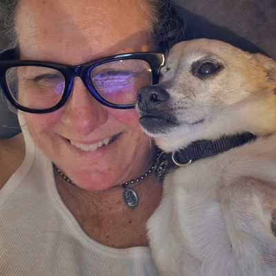 Avatar for Zen at Serenity Dog Training