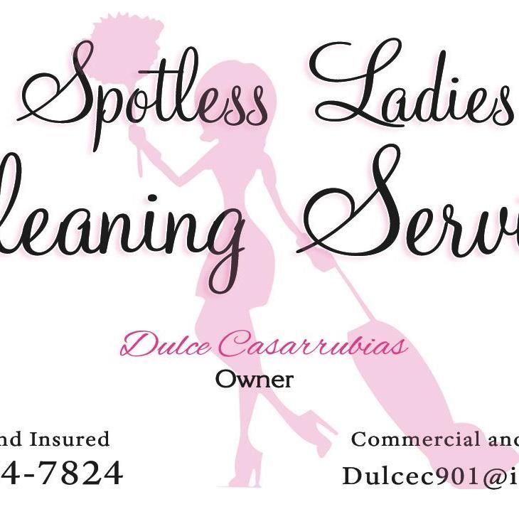 Spotless Ladies Cleaning