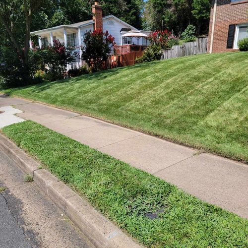 Very satisfied with the job Ariana lawn care  do a