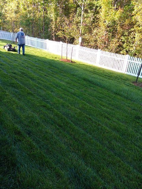 Cut grass 