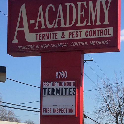 Don’t let Termites ruin your home! Call today for 