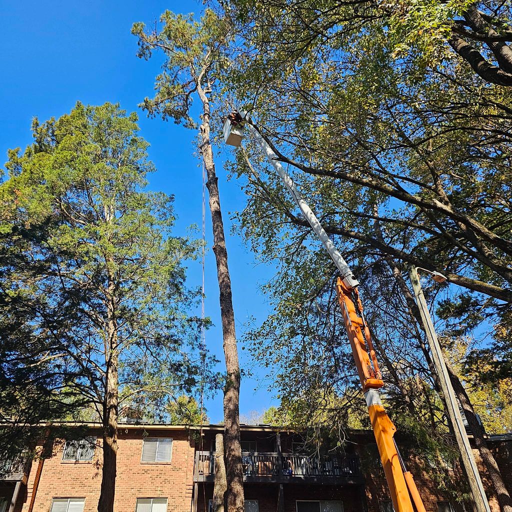 Eber Tree Service