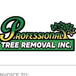 Professional Tree removal