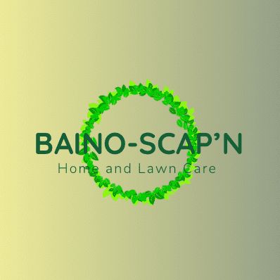 Baino-Scap'n