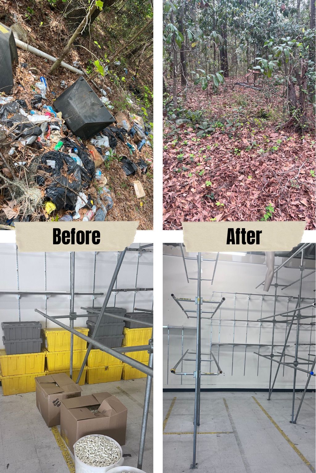 Projects and media