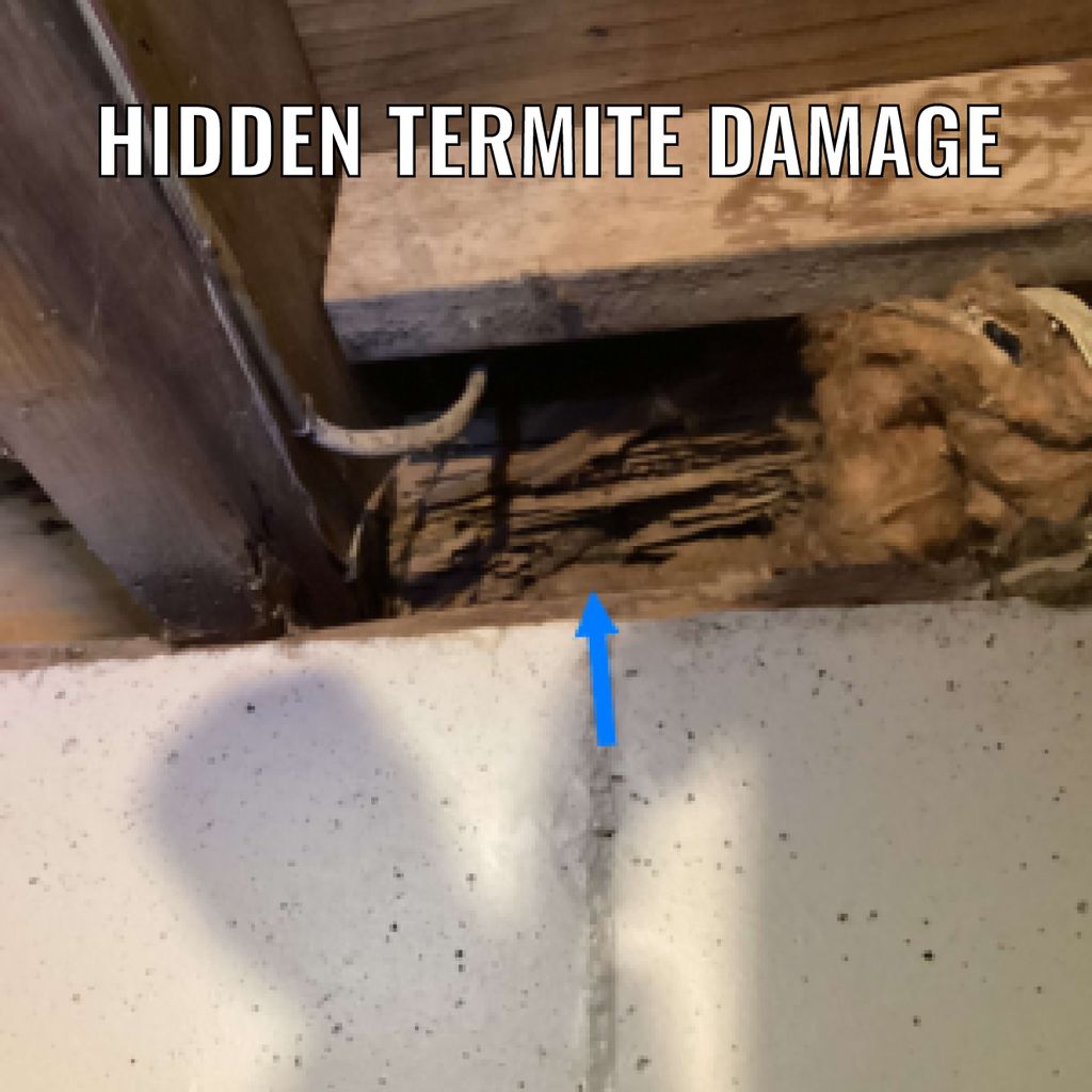 Termite Damage