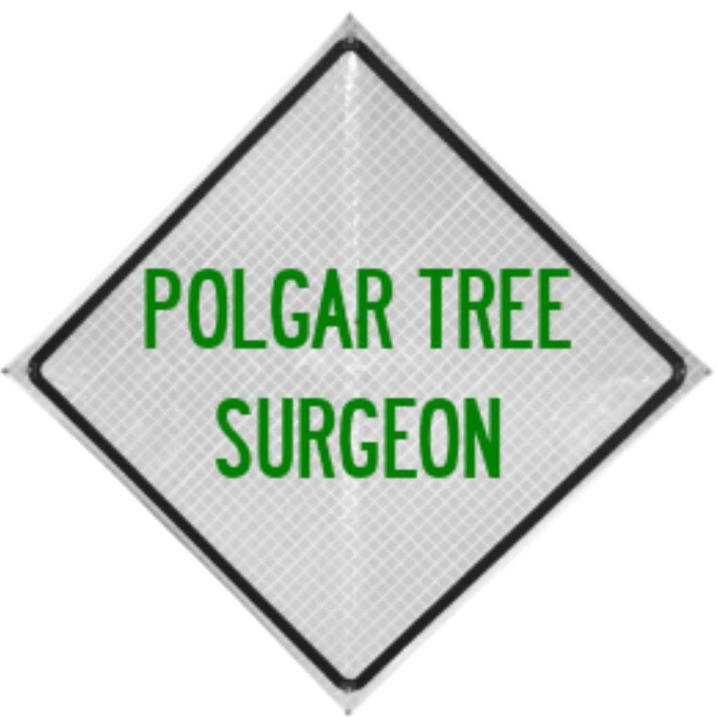 Polgar Tree Service & Removal LLC