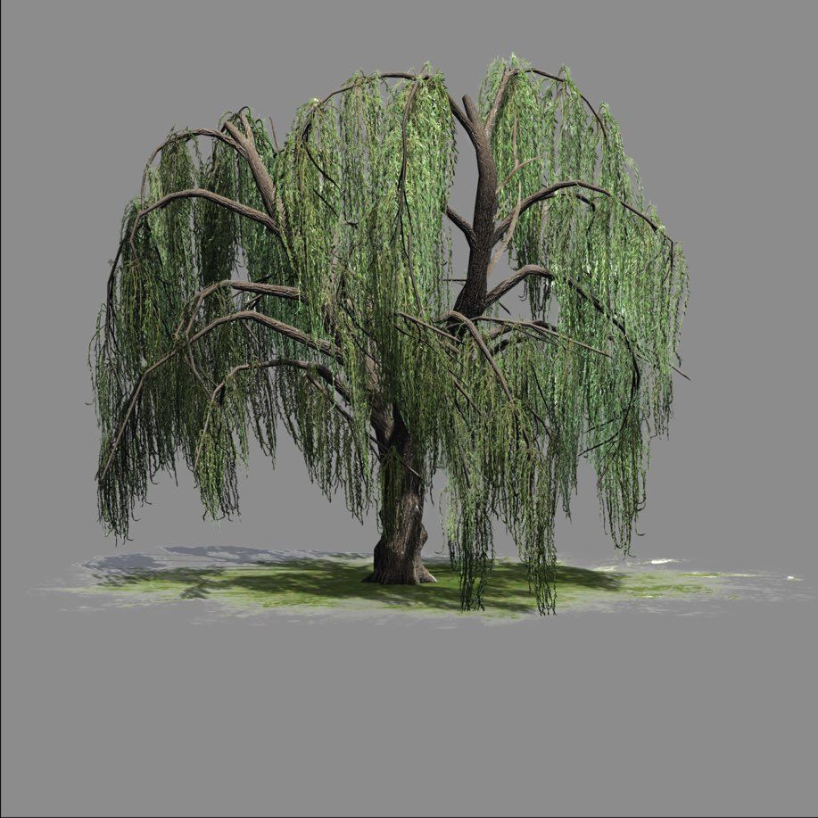 Marsh Haven LLC